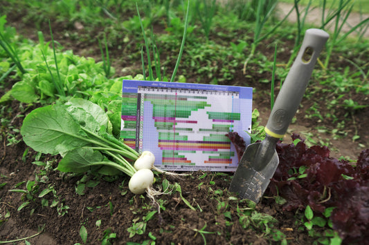 Sow Easy - Vegetable Garden Planner