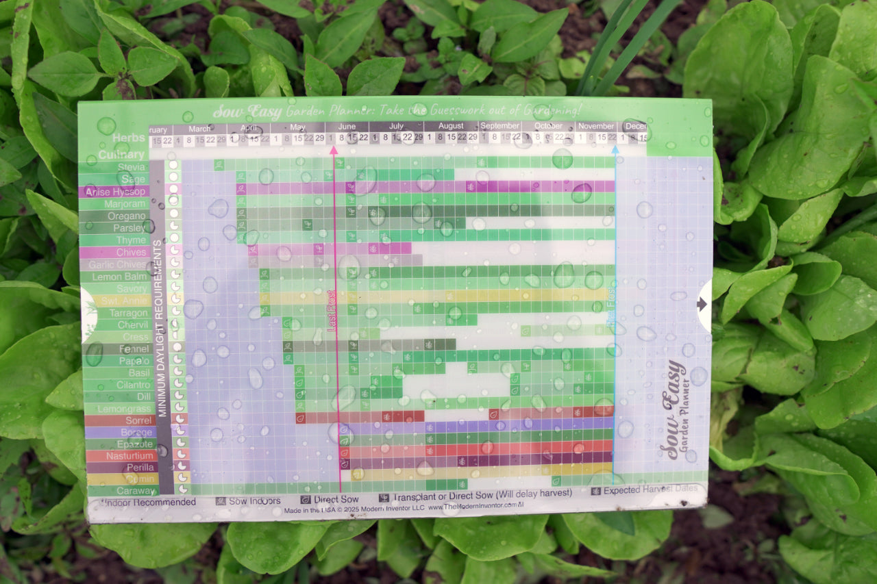 indoor planting calendar Sow Easy