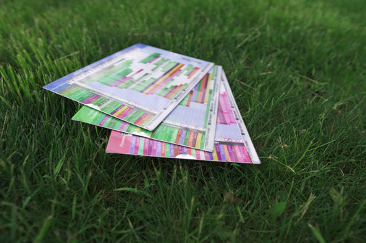 Sow Easy Planner Bundle - Vegetable, Herb, and Flower